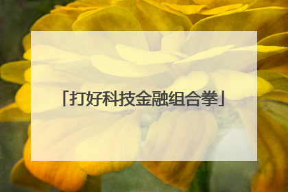 打好科技金融组合拳