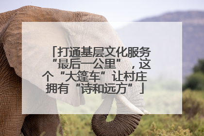 打通基层文化服务“最后一公里”，这个“大篷车”让村庄拥有“诗和远方”