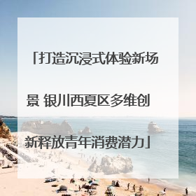 打造沉浸式体验新场景 银川西夏区多维创新释放青年消费潜力