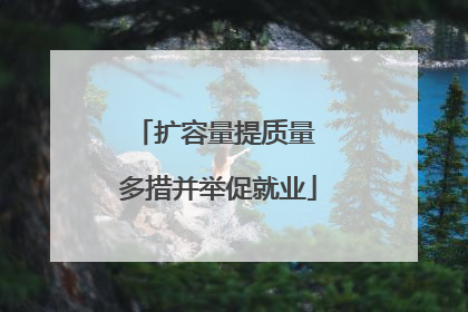 扩容量提质量 多措并举促就业