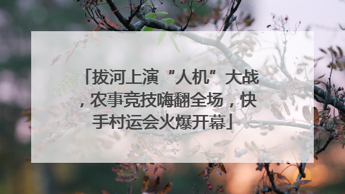 拔河上演“人机”大战，农事竞技嗨翻全场，快手村运会火爆开幕