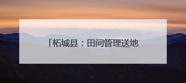 柘城县：田间管理送地头 抗旱保苗保丰收