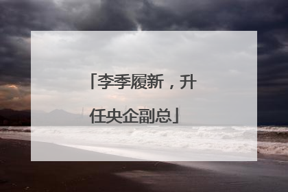 李季履新，升任央企副总