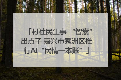 村社民生事 “智囊”出点子 嘉兴市秀洲区推行AI“民情一本账”