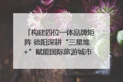 构建四位一体品牌矩阵 德阳深耕“三星堆+”赋能国际旅游城市建设｜文旅局长说