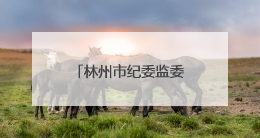 林州市纪委监委：民声微信群激活基层治理新效能