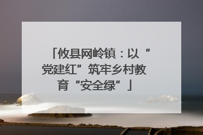攸县网岭镇：以“党建红”筑牢乡村教育“安全绿”