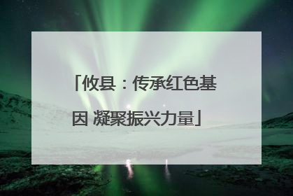 攸县：传承红色基因 凝聚振兴力量