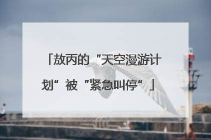 敖丙的“天空漫游计划”被“紧急叫停”