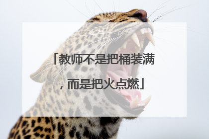 教师不是把桶装满，而是把火点燃