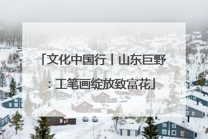 文化中国行丨山东巨野：工笔画绽放致富花