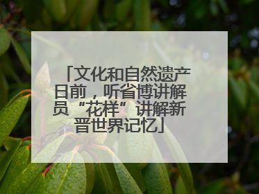文化和自然遗产日前，听省博讲解员“花样”讲解新晋世界记忆
