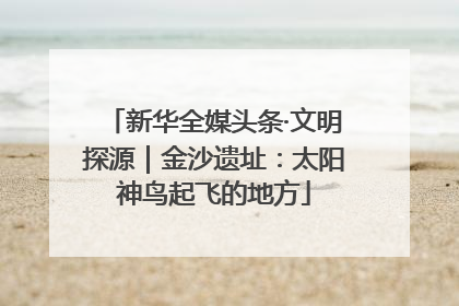 新华全媒头条·文明探源｜金沙遗址：太阳神鸟起飞的地方