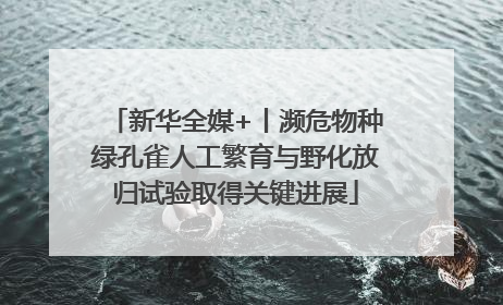 新华全媒+丨濒危物种绿孔雀人工繁育与野化放归试验取得关键进展
