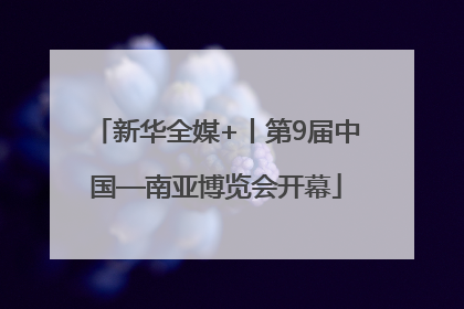 新华全媒+丨第9届中国—南亚博览会开幕