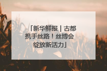 新华鲜报｜古都携手丝路！丝博会绽放新活力