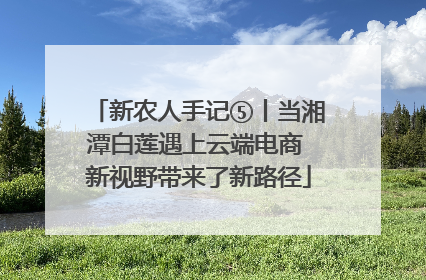 新农人手记⑤丨当湘潭白莲遇上云端电商 新视野带来了新路径