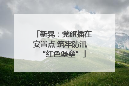 新晃：党旗插在安置点 筑牢防汛“红色堡垒”