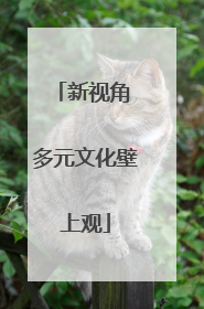 新视角 多元文化壁上观