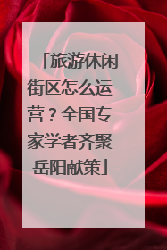 旅游休闲街区怎么运营？全国专家学者齐聚岳阳献策