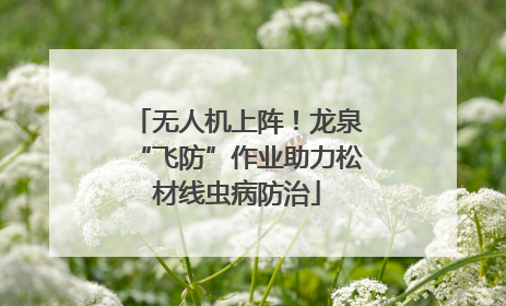 无人机上阵！龙泉“飞防”作业助力松材线虫病防治