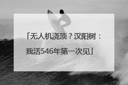 无人机浇顶？汉阳树：我活546年第一次见