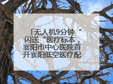 无人机9分钟“闪送“医疗标本，襄阳市中心医院首开襄阳低空医疗配送“空中快
