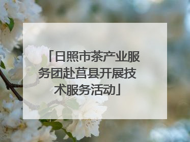 日照市茶产业服务团赴莒县开展技术服务活动