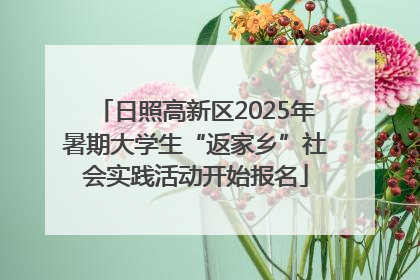 日照高新区2025年暑期大学生“返家乡”社会实践活动开始报名