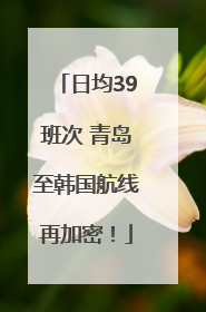 日均39班次 青岛至韩国航线再加密！