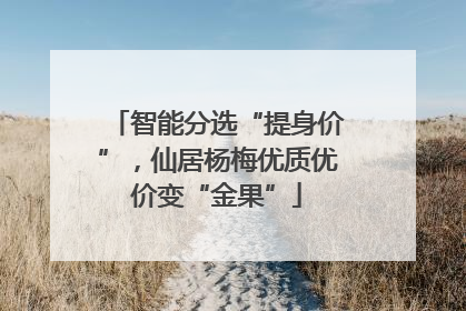 智能分选“提身价”，仙居杨梅优质优价变“金果”