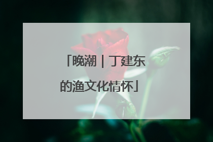 晚潮｜丁建东的渔文化情怀