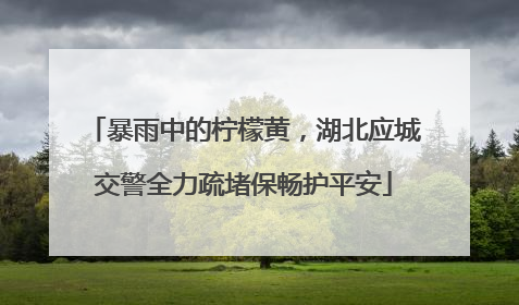 暴雨中的柠檬黄，湖北应城交警全力疏堵保畅护平安