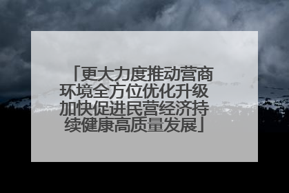 更大力度推动营商环境全方位优化升级加快促进民营经济持续健康高质量发展