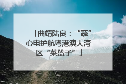 曲靖陆良：“蔬”心电护航粤港澳大湾区“菜篮子”