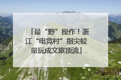 最“野”操作！浙江“电竞村”指尖较量玩成文旅顶流