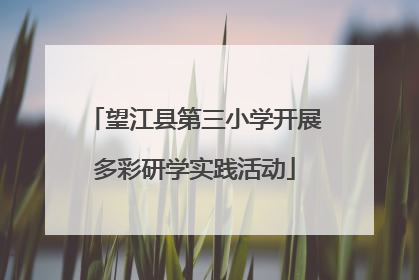 望江县第三小学开展多彩研学实践活动