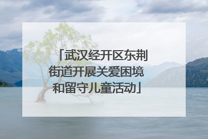 武汉经开区东荆街道开展关爱困境和留守儿童活动