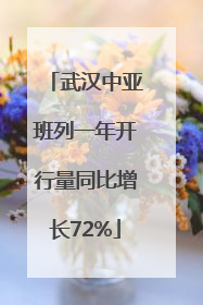 武汉中亚班列一年开行量同比增长72%