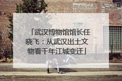 武汉博物馆馆长任晓飞：从武汉出土文物看千年江城变迁