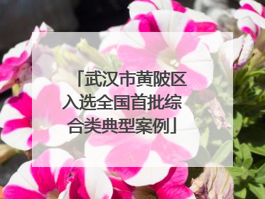武汉市黄陂区入选全国首批综合类典型案例