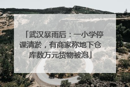 武汉暴雨后：一小学停课清淤，有商家称地下仓库数万元货物被泡