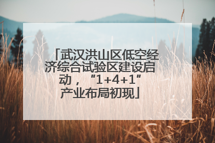 武汉洪山区低空经济综合试验区建设启动，“1+4+1”产业布局初现