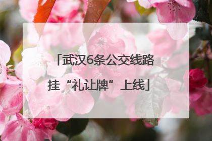 武汉6条公交线路挂“礼让牌”上线