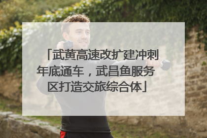武黄高速改扩建冲刺年底通车，武昌鱼服务区打造交旅综合体