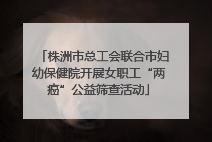 株洲市总工会联合市妇幼保健院开展女职工“两癌”公益筛查活动