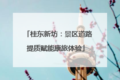 桂东新坊：景区道路提质赋能康旅体验