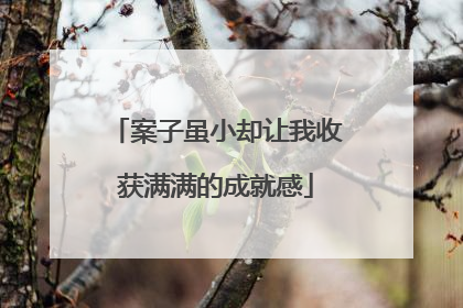 案子虽小却让我收获满满的成就感