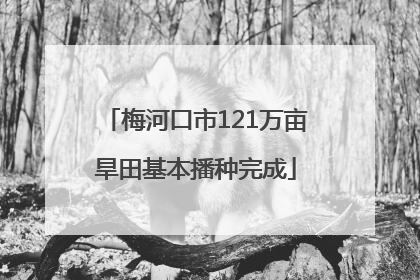 梅河口市121万亩旱田基本播种完成