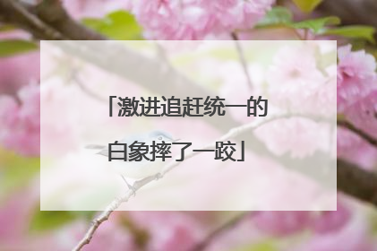 激进追赶统一的白象摔了一跤
